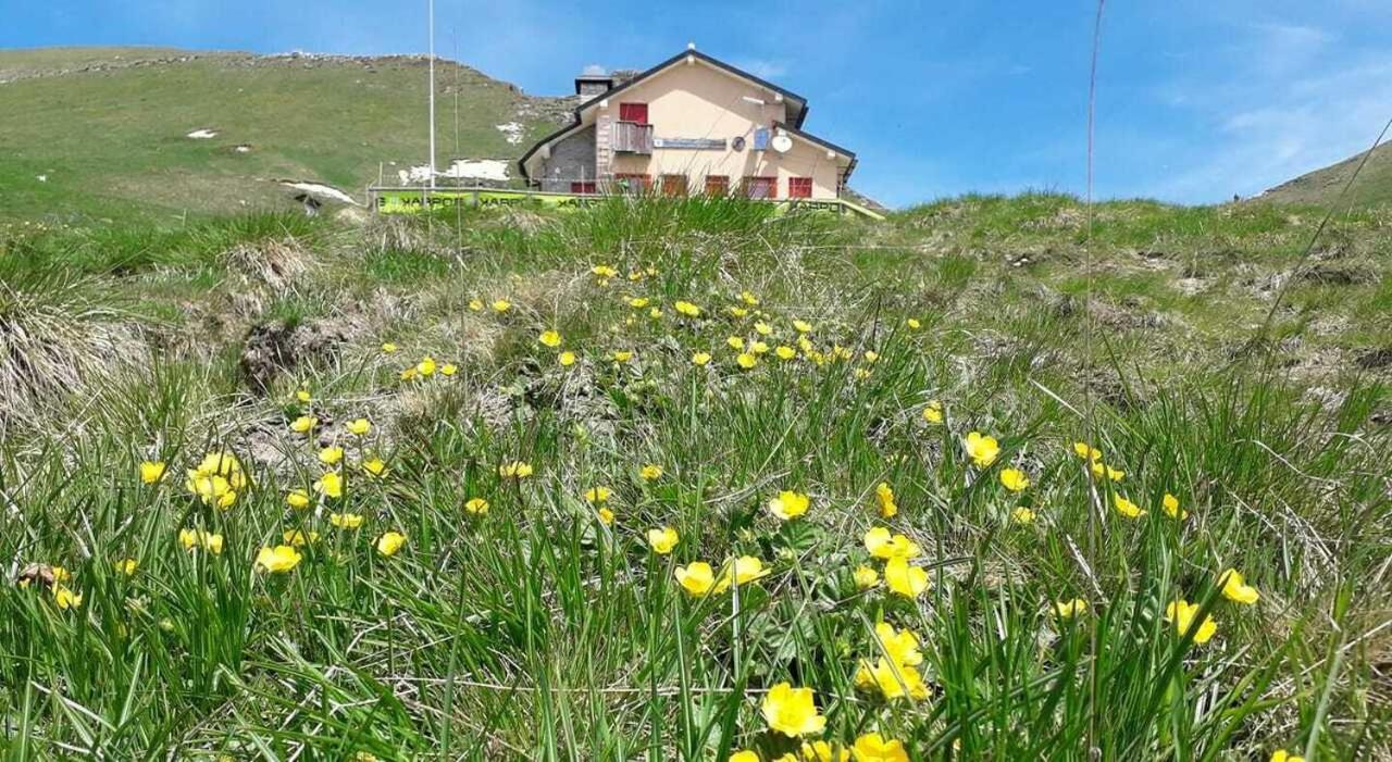 Apartament Residenza Letizia Nemeggio Zewnętrze zdjęcie